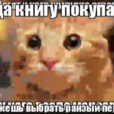 traphustla